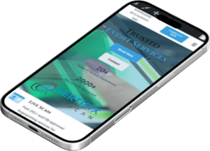 Professional Website